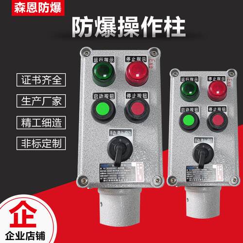 防爆操作控制箱防腐按钮箱两灯两钮一表防水防尘立式挂式IIB