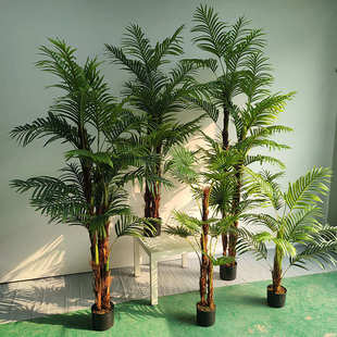 现货仿真棕竹葵 绿植盆栽假树散尾葵大型夏威夷葵凤尾葵落地摆件