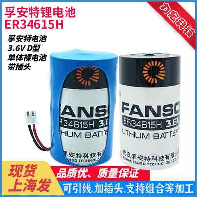 厂家授权孚安特 ER34615H 3.6V 流量计物联网警报器仪表机床电池