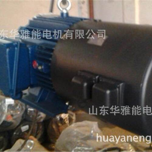 YE4-100L2-4-3电机G高原型YE4电机特制加长轴，法兰专用，带衬套
