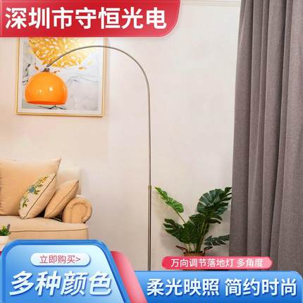 简约小号钓鱼灯北欧客厅沙发书房家用灯灯具立式阅读落地灯台灯