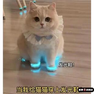 猫咪发光鞋玩具宠物狗狗鞋宝宝鞋子夜光儿童玩具夜间拍照视频配饰