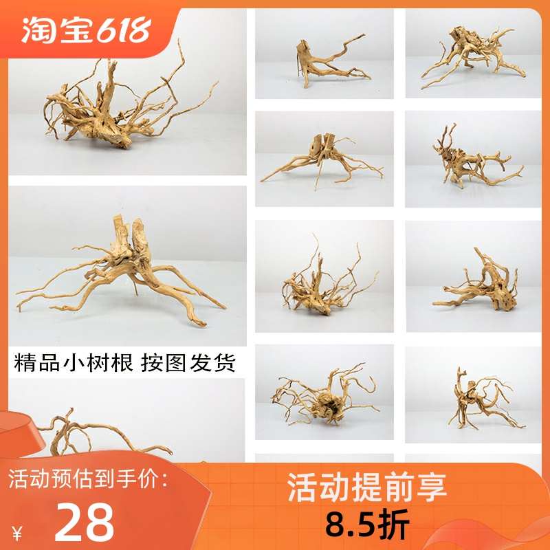鱼缸造景杜鹃根小树根枯木小号树桩软装微景观小型树木装饰草缸