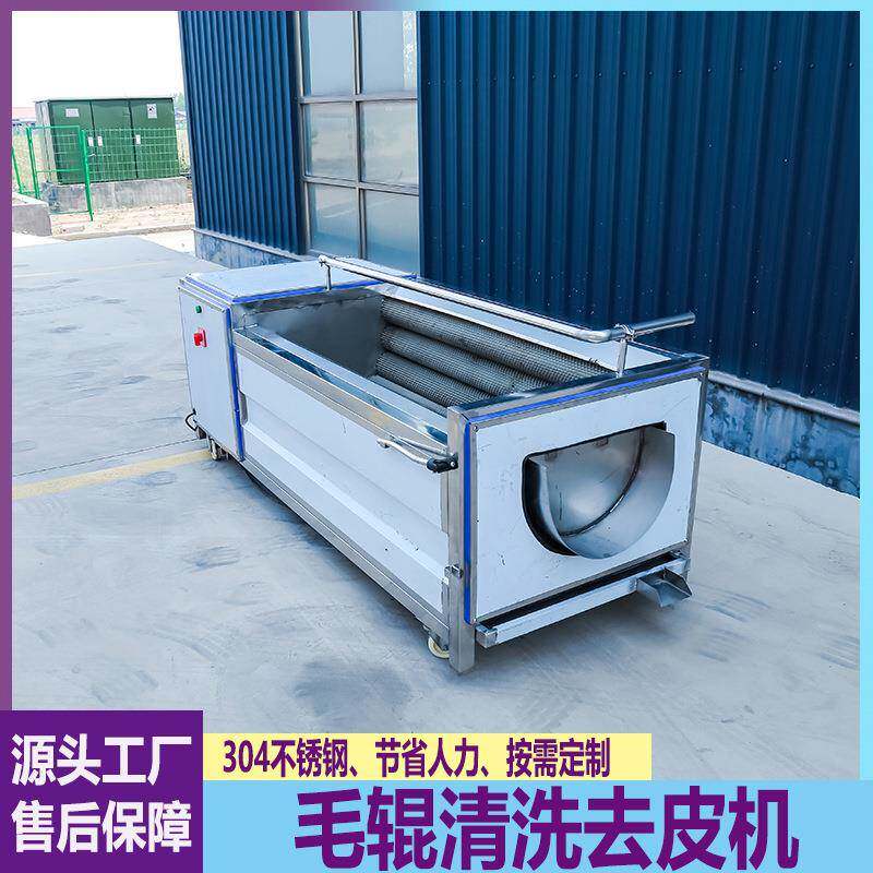 土豆马蹄去皮毛辊清洗机柑橘橙子根茎果蔬去泥沙海蛎子清洗设备