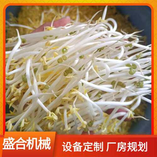 豆制品设备双开门箱体式豆芽机器微电脑控制温湿度