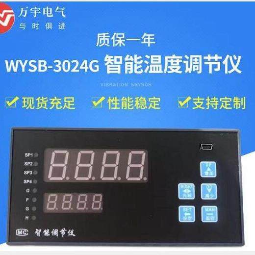 数显表NPXM-2000D35/DD壁挂式24VDC90*45*100MM