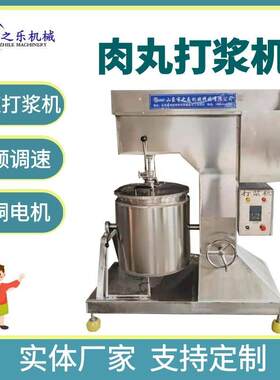 牛肉丸打浆机 麻辣丸子打浆机 鸡肉丸打浆机 香菇贡丸打浆机设备