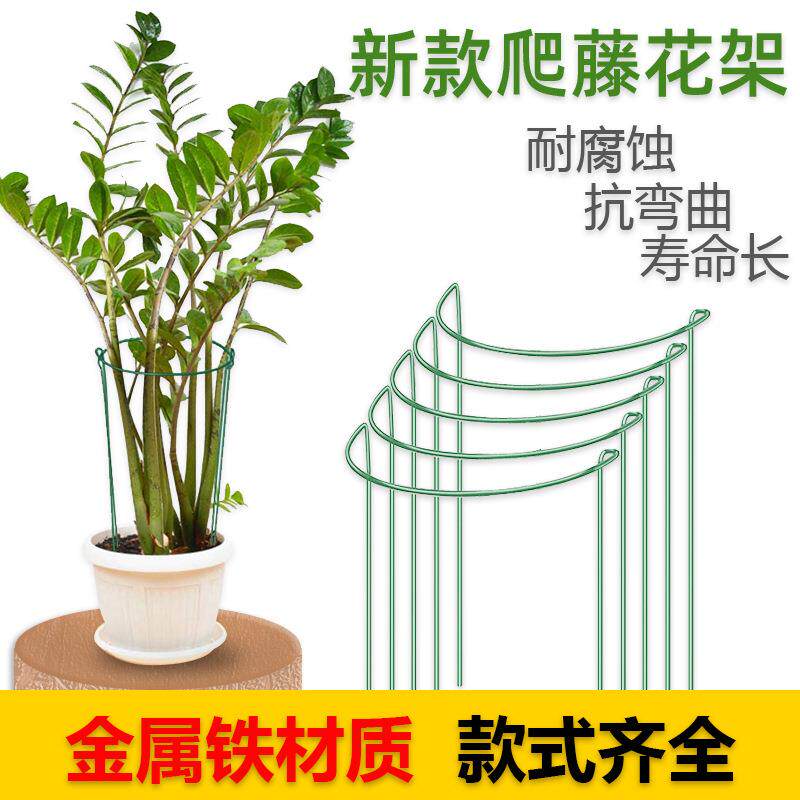亚马逊跨境园林铁艺花园支架园艺花支撑金属涂层制品插花固定杆