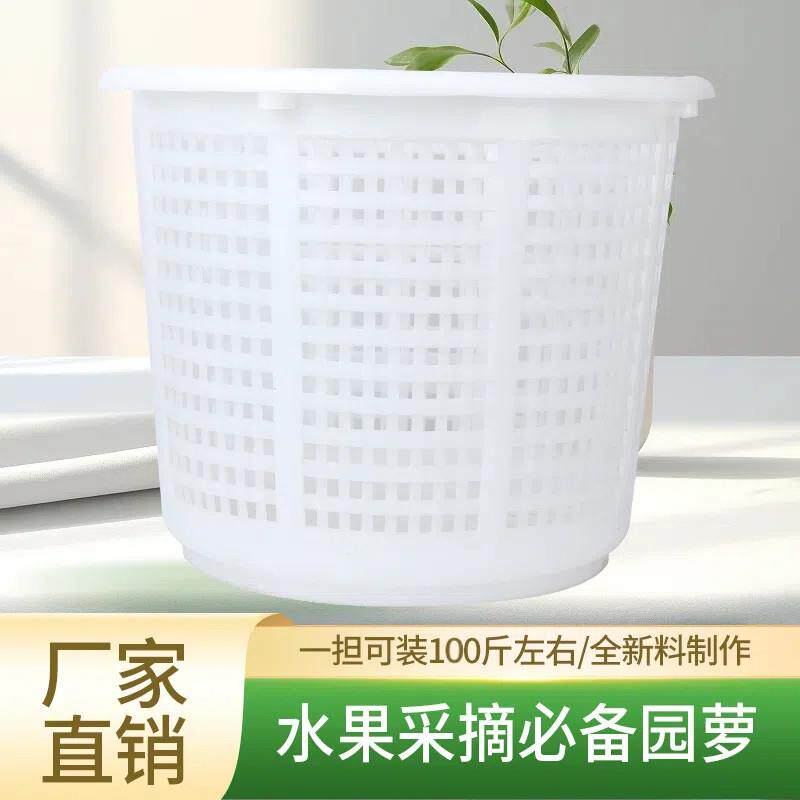 小号萝水产圆筐塑料摘水果可穿绳圆箩筐采橘子圆框脐橙蜜桔周转筐