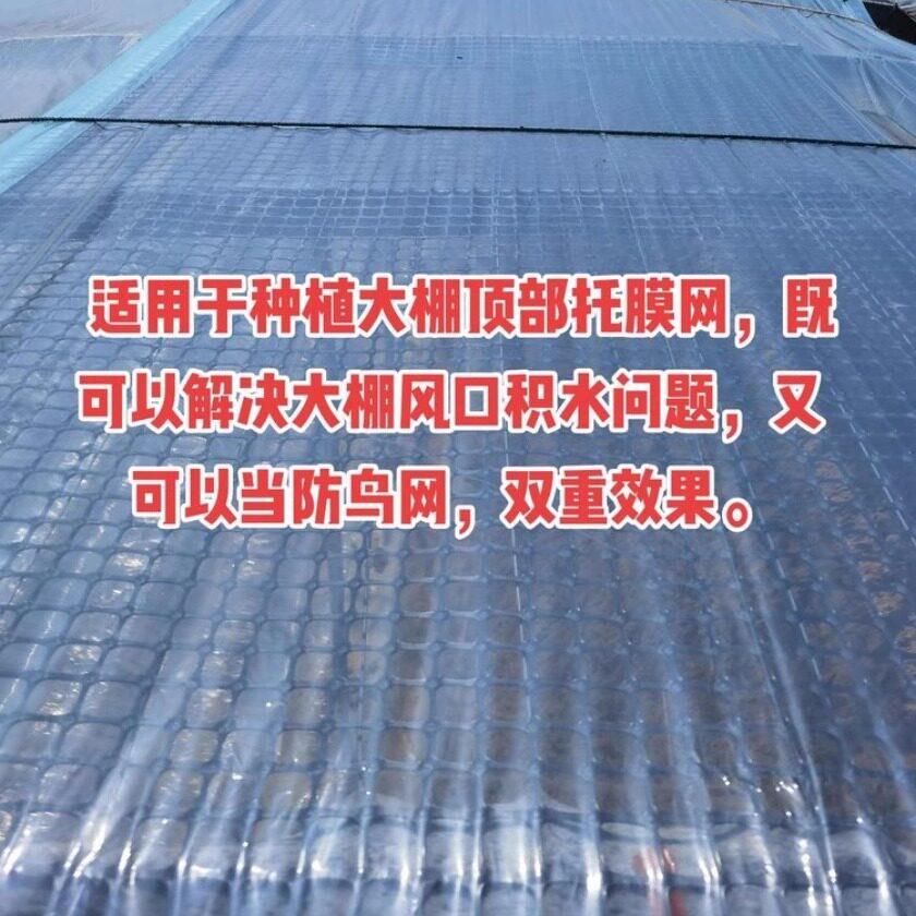 大棚拖膜网放风口防水网有效解决雨后积水兜水问题小孔大棚防鸟网
