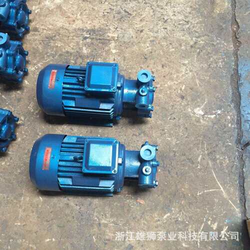 [源头厂家]3KW旋涡泵 1W2.5-12锅炉给水泵 高扬程 现货供应