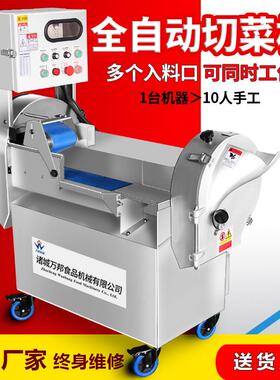 因地辛切丁机现货姜根切丝机果蔬烘干加工炎凉小子切片设备