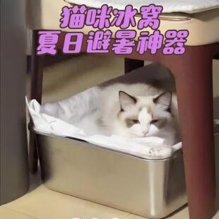 猫咪夏天冰垫猫猫夏日避暑神器不锈钢沥水盆猫咪用自带冰块冰晶盒