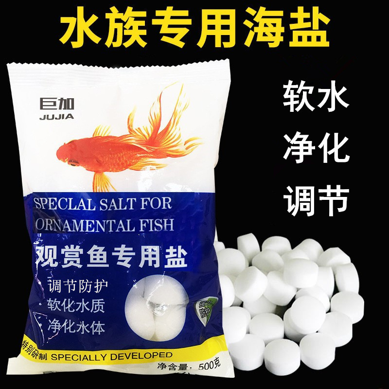 观赏鱼鱼缸鱼缸其它水族用具设备