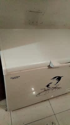 使用解读澳柯玛BC/BD-323NE冰柜怎么样，真相如何，不看后悔！