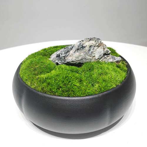 永生苔藓盆景盆栽仿真植物微景观中式桌面花艺客厅玄关前台摆件设