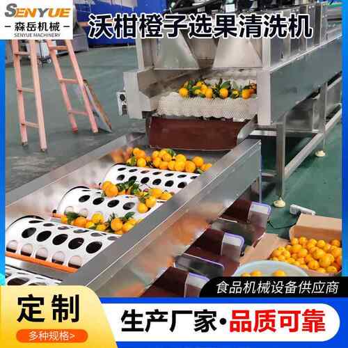 小青柑清洗选果机全自动橙子洗果机水果清洗风干一体机沃柑打蜡机