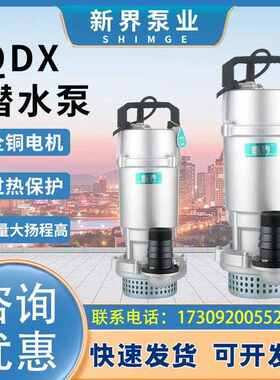 新界潜水泵220VQDX小型高扬程抽水机农用喷灌溉抽水泵大流量家用