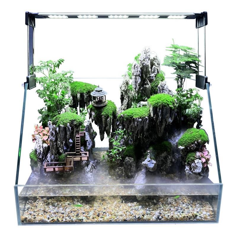 双过滤高清超白玻璃直角鱼缸水陆缸假山造景生态景观成品家居懒人