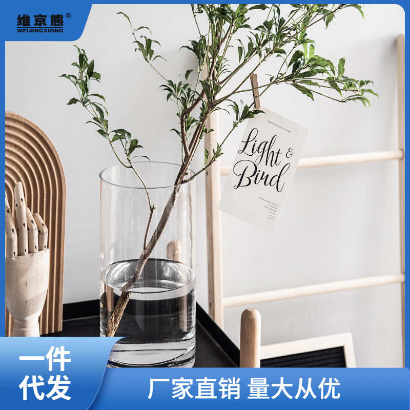 花瓶摆件客厅插花透明玻璃瓶水养马醉木富贵竹宽口水培器链衡链衡