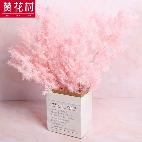 蓬莱松永生花云南干花花束ins文艺拍摄道具装饰DIY花材干花