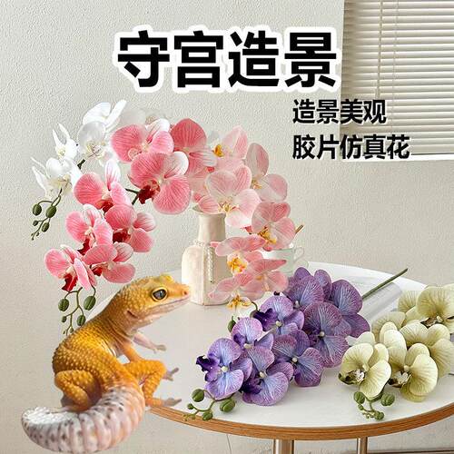 守宫躲避屋造景攀爬蝴蝶兰仿真花植物睫角豹纹蜥蜴爬宠用品大全