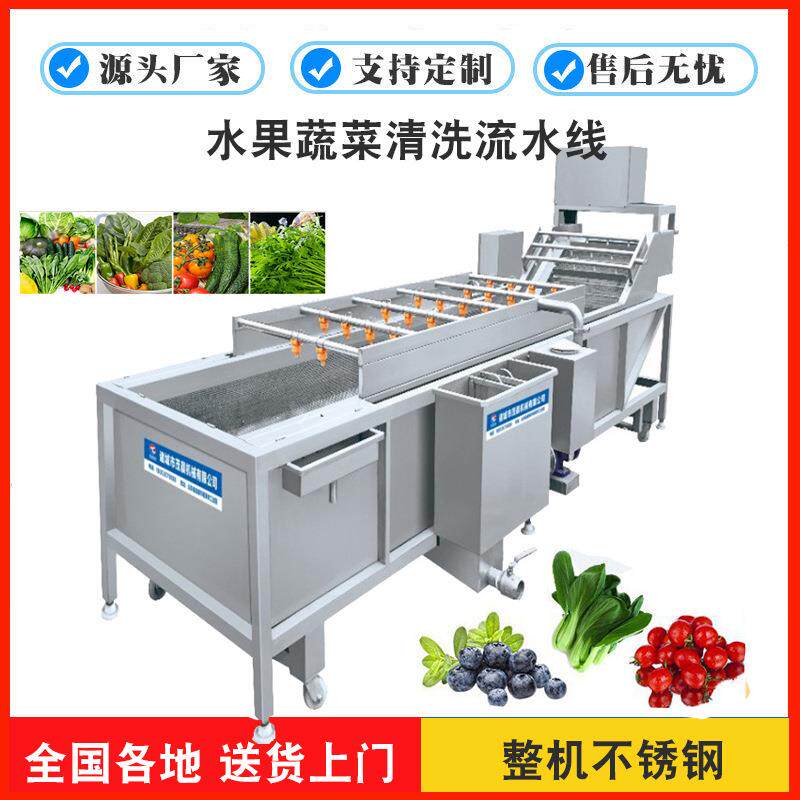 厂家现货气泡清洗机风干蒸煮线瓜果叶类气泡双氧双仓水果清洗机