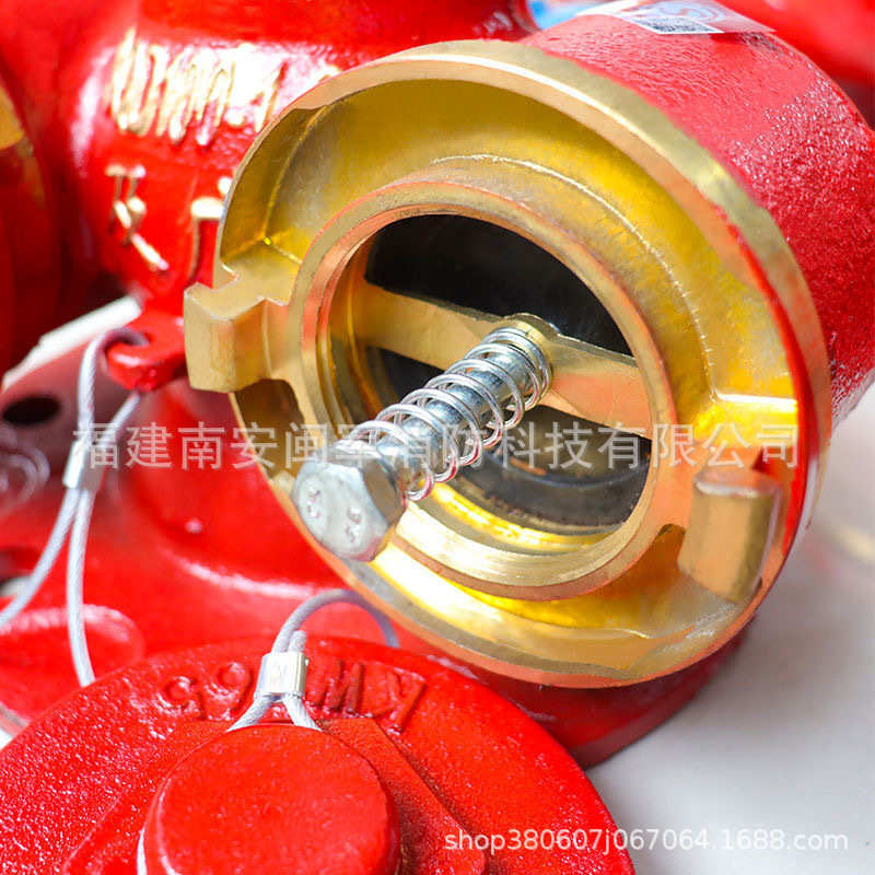 消防地上式多功能水泵接合器SQD100-2.5 多用式水泵接合器