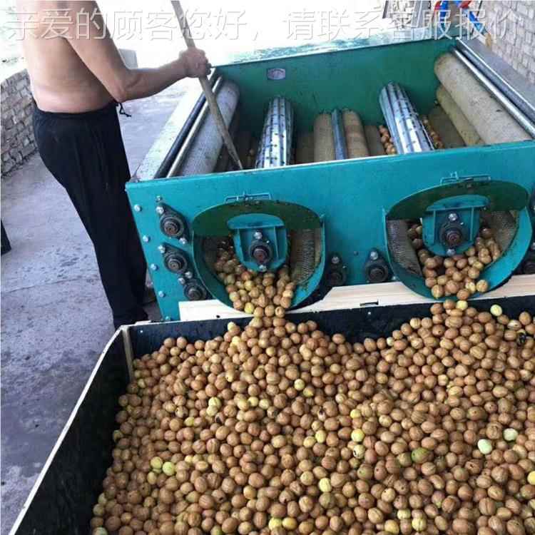全动青皮核桃去皮机脱机1000皮青核桃剥削皮剥壳机自家用小型可水