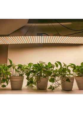 led种植灯75W量子板598珠可调光大棚育苗灯115X30CM大面积补光