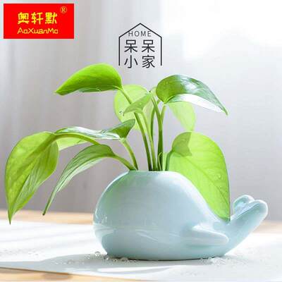 创意鲸鱼大象青瓷小花瓶家居水培陶瓷摆件茶道花插时尚个性花器