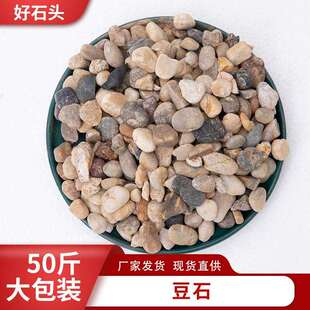豆石天然鹅卵石家装回填地暖鱼缸布景石头沼泽过滤石滤料石材沙石