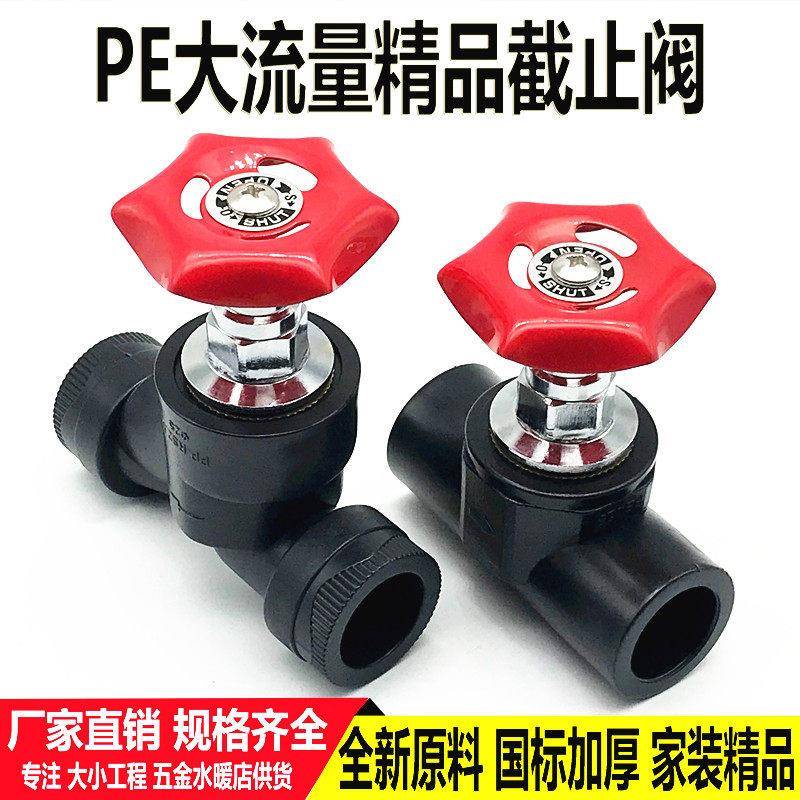 PE截止阀4分6分20双内丝阀门25 32 50表前不锈钢闸阀水管开关配件