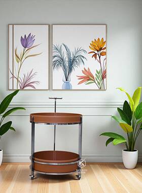 动轻奢小户型可移马鞍皮置物小架推车推计车边几设感阳20台沙发