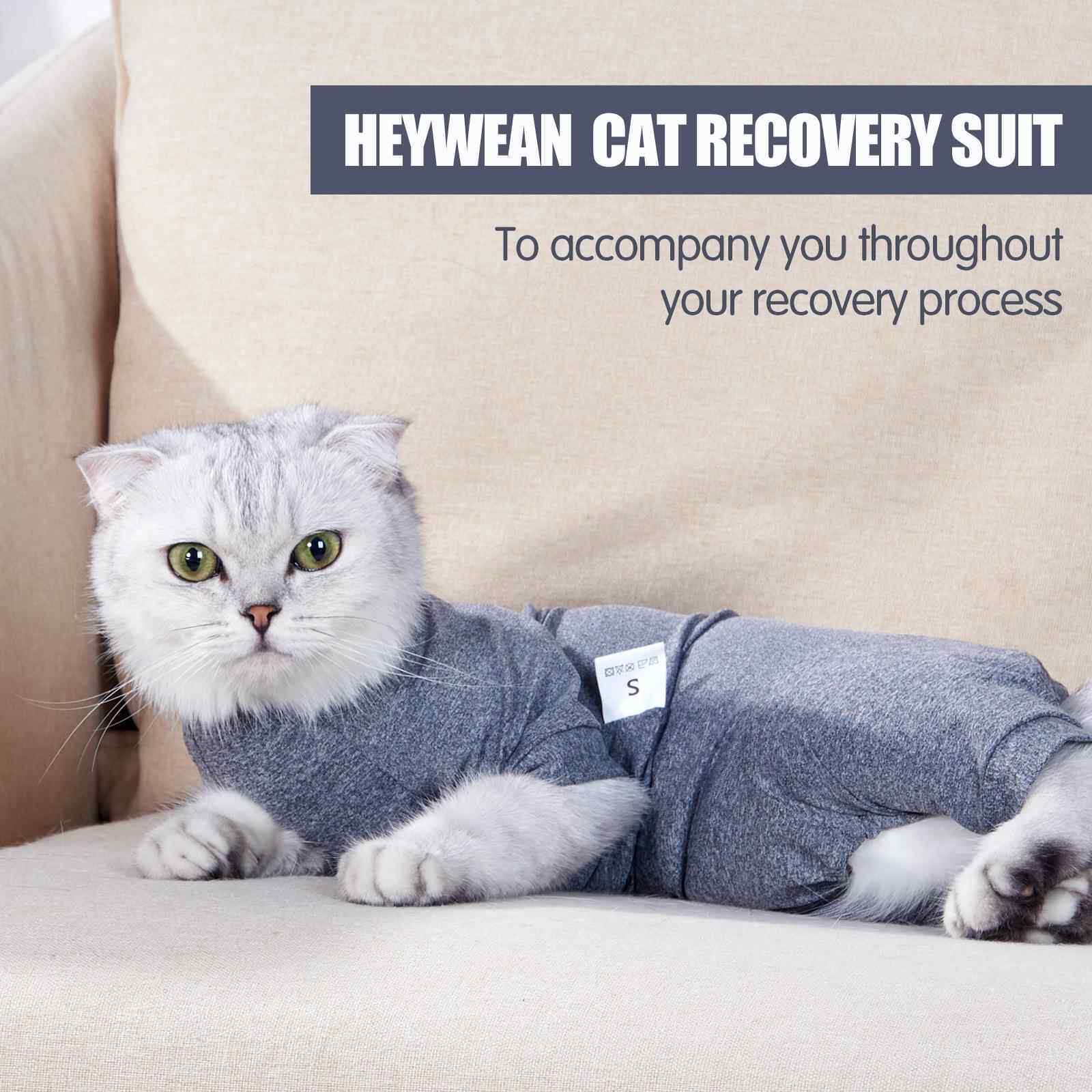 跨境新品宠物猫咪防掉毛四脚衣服猫咪衣服猫服猫术后服猫咪绝育服