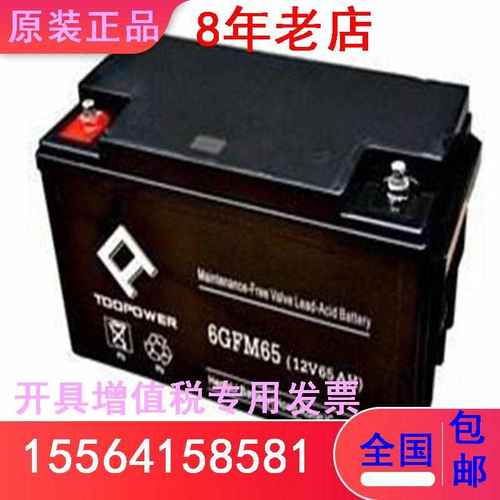 TOOPOWER天力蓄电池6FM65电子器械设备电源备用12V65AH计算机系统