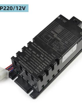 德凌电梯应急照明电源RKP220/12V 24AH 12V 轿顶对讲电源五方对讲