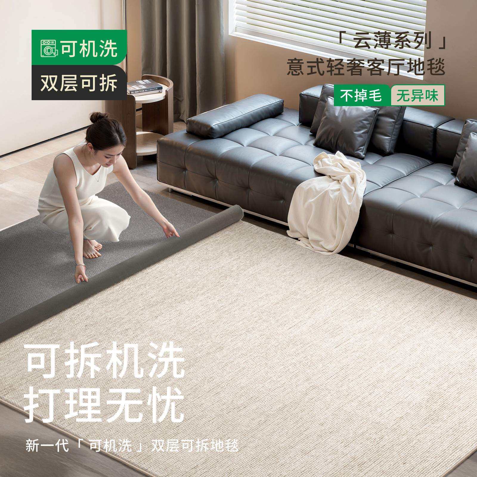 可拆洗地毯客厅意式极简纯色大面积免洗好打理可机洗沙发双层地垫