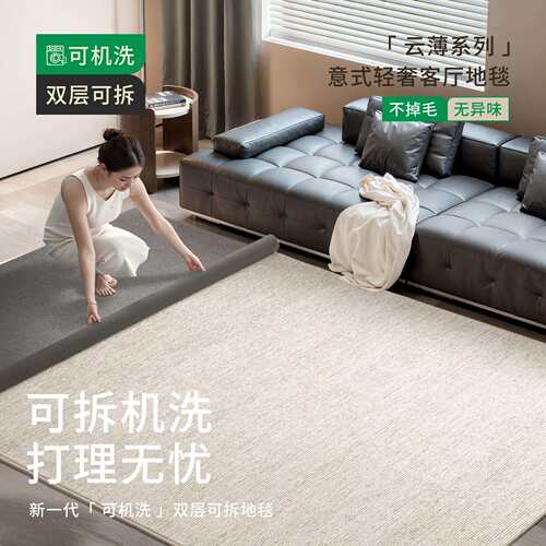 可拆洗地毯客厅意式极简纯色大面积免洗好打理可机洗沙发双层地垫