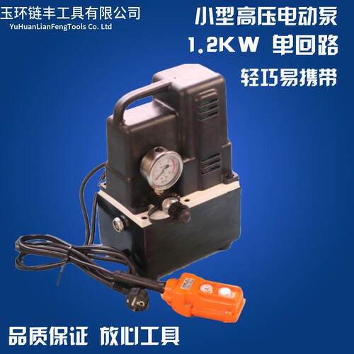 QQ-700便携式超小型液压泵 电动油压泵 超高压电动泵 油压泵浦