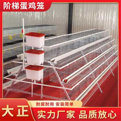 阶梯蛋鸡笼蛋鸡养殖笼 三层四门阶梯式蛋鸡笼自动化养鸡设备