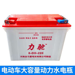 12V80Ah金马水电瓶工程电动三轮车工地60v蓄电池组铅酸牵引车专用