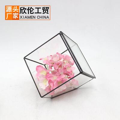 几何玻璃花房带门微景观玻璃瓶永生花盒工艺品摆件16041