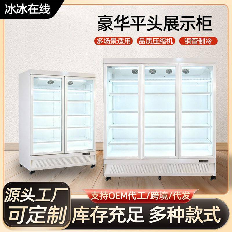 豪华平头展示柜商超便利店饮料展示柜水果冷藏保鲜柜立式冰柜