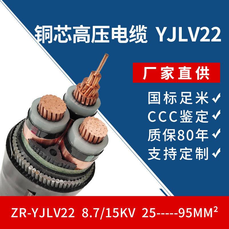 供应铜芯高压电缆10kv国.标电缆YJV223*35/50/70/95