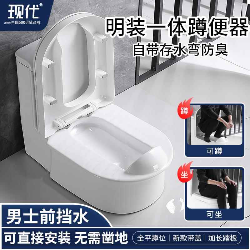 现代一体式免挖坑下沉蹲便器蹲坐两用式马桶免砌台卫生间蹲坑神器