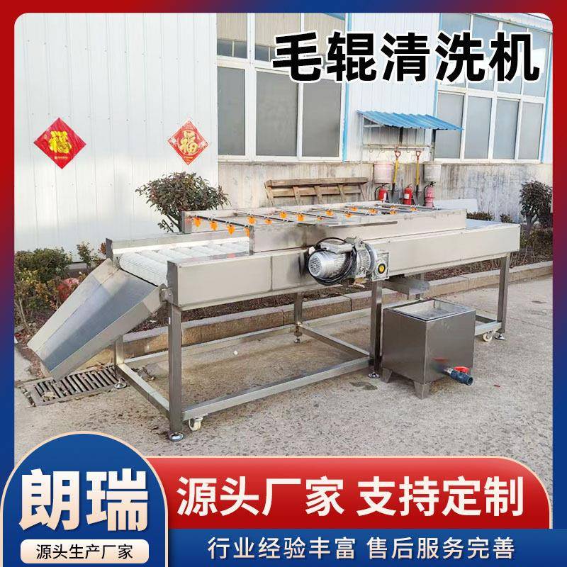 毛辊清洗机生蚝扇贝毛刷去泥机全自动橙子柑橘清洗红薯土豆清洗机
