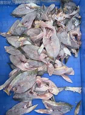 W鲜鱼切切段机TWY器 养殖切用切鱼机 工直厂销鲜鱼段块机 鲜鱼切