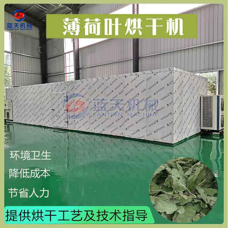 薄荷叶干燥设备空气能水益母水薄荷整叶脱水烤房大型薄荷烘干机