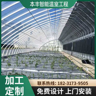 加工冬季暖棚 日光温室 农业种植保温棚 镀锌钢管大棚